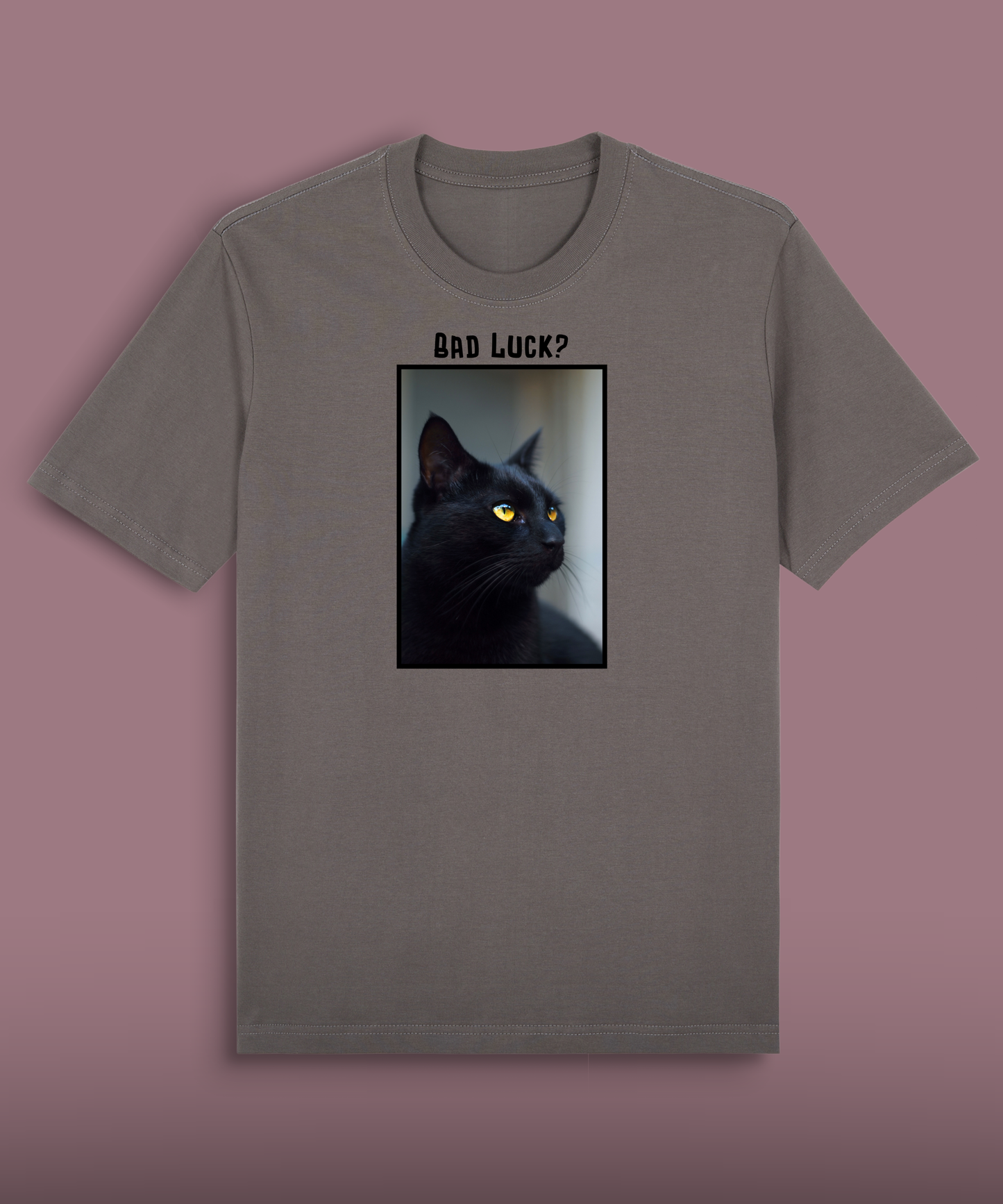 Bad Luck - Black Cat