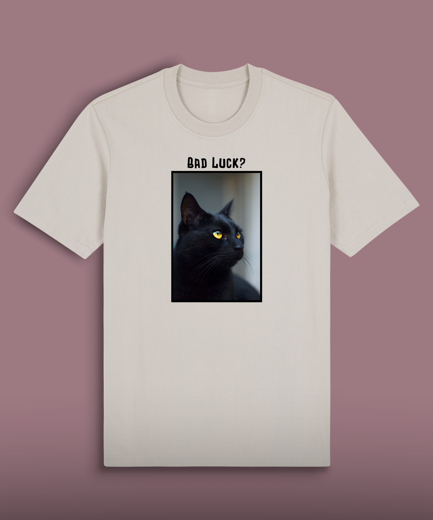Bad Luck - Black Cat