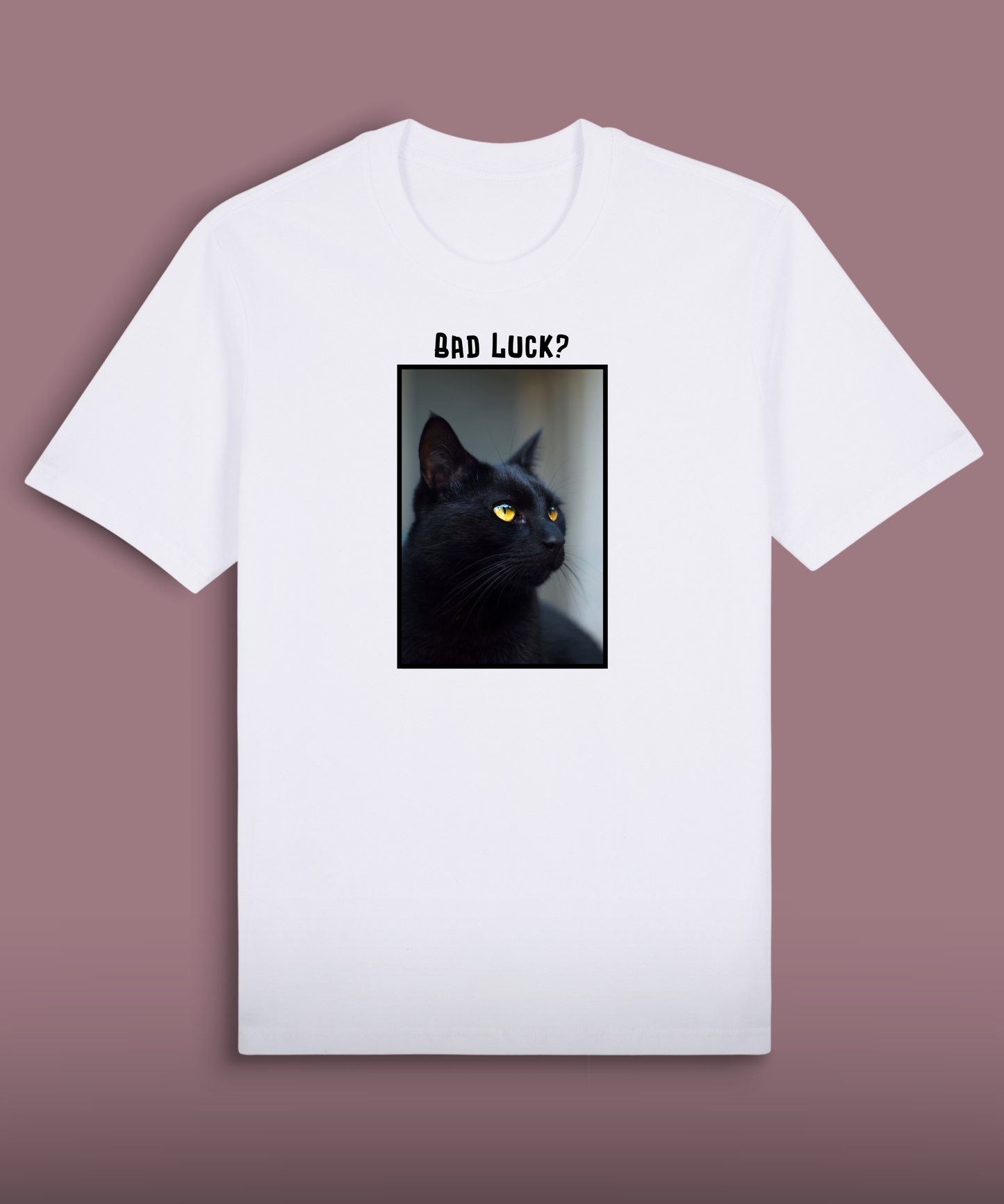 Bad Luck - Black Cat