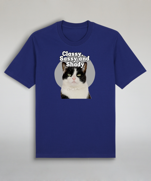 Classy, Sassy and Shady - Tuxedo cat