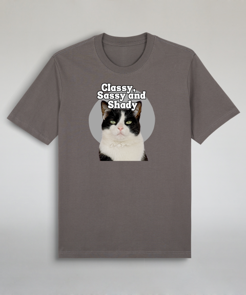 Classy, Sassy and Shady - Tuxedo cat
