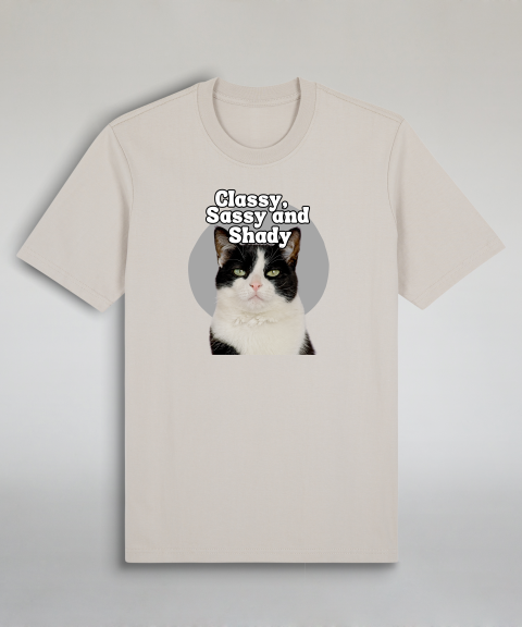 Classy, Sassy and Shady - Tuxedo cat