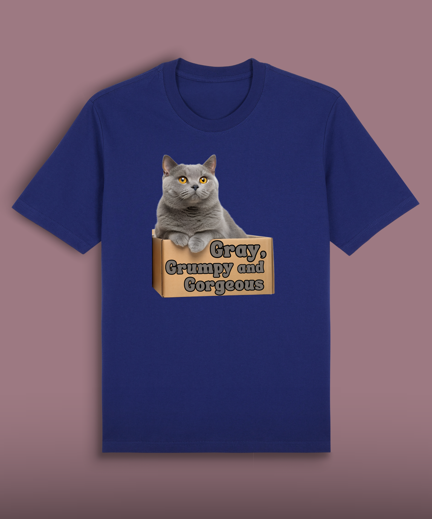 Gray, Grumpy and Gorgeous - British Shorthair