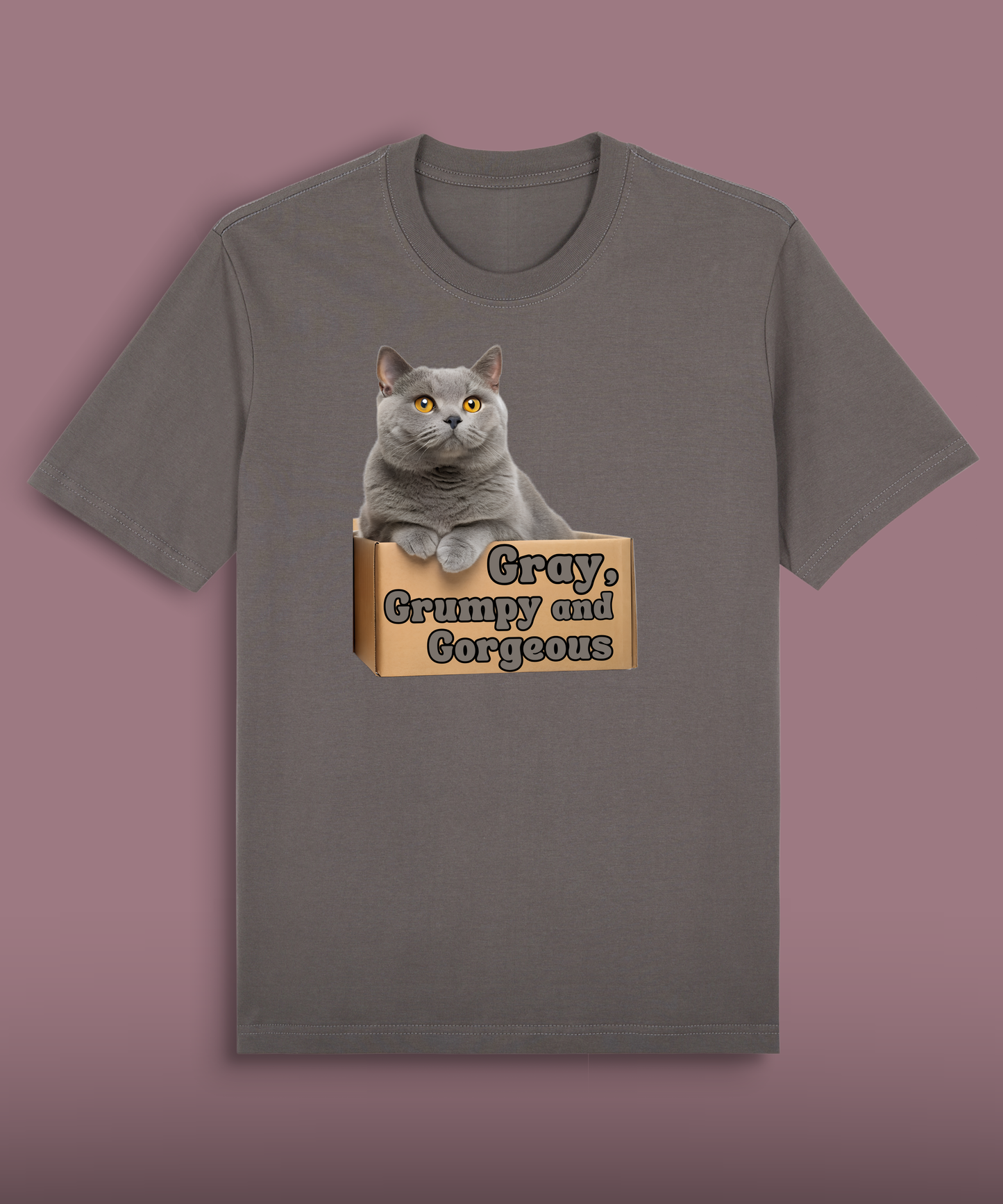 Gray, Grumpy and Gorgeous - British Shorthair
