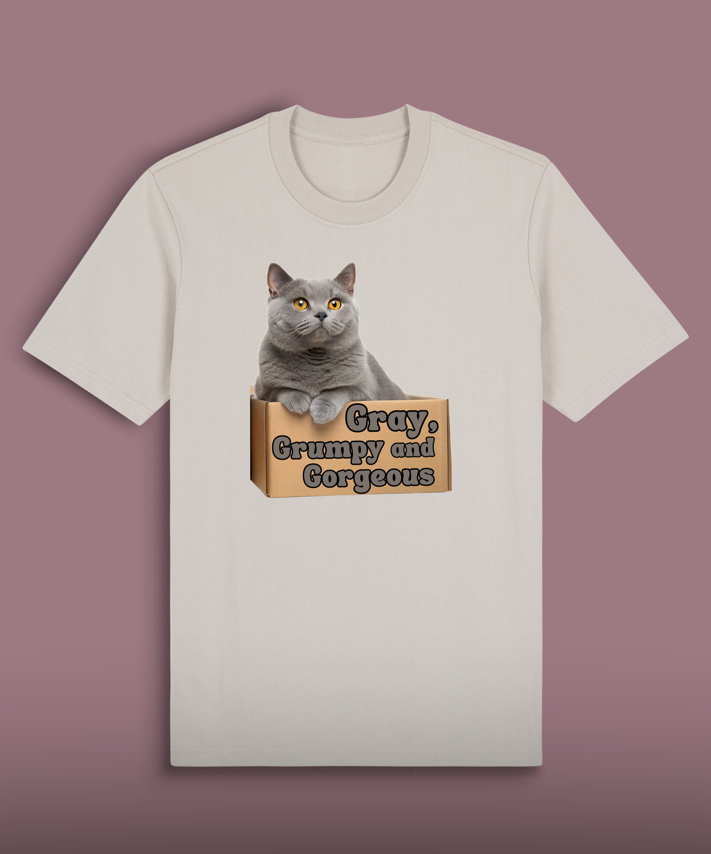 Gray, Grumpy and Gorgeous - British Shorthair