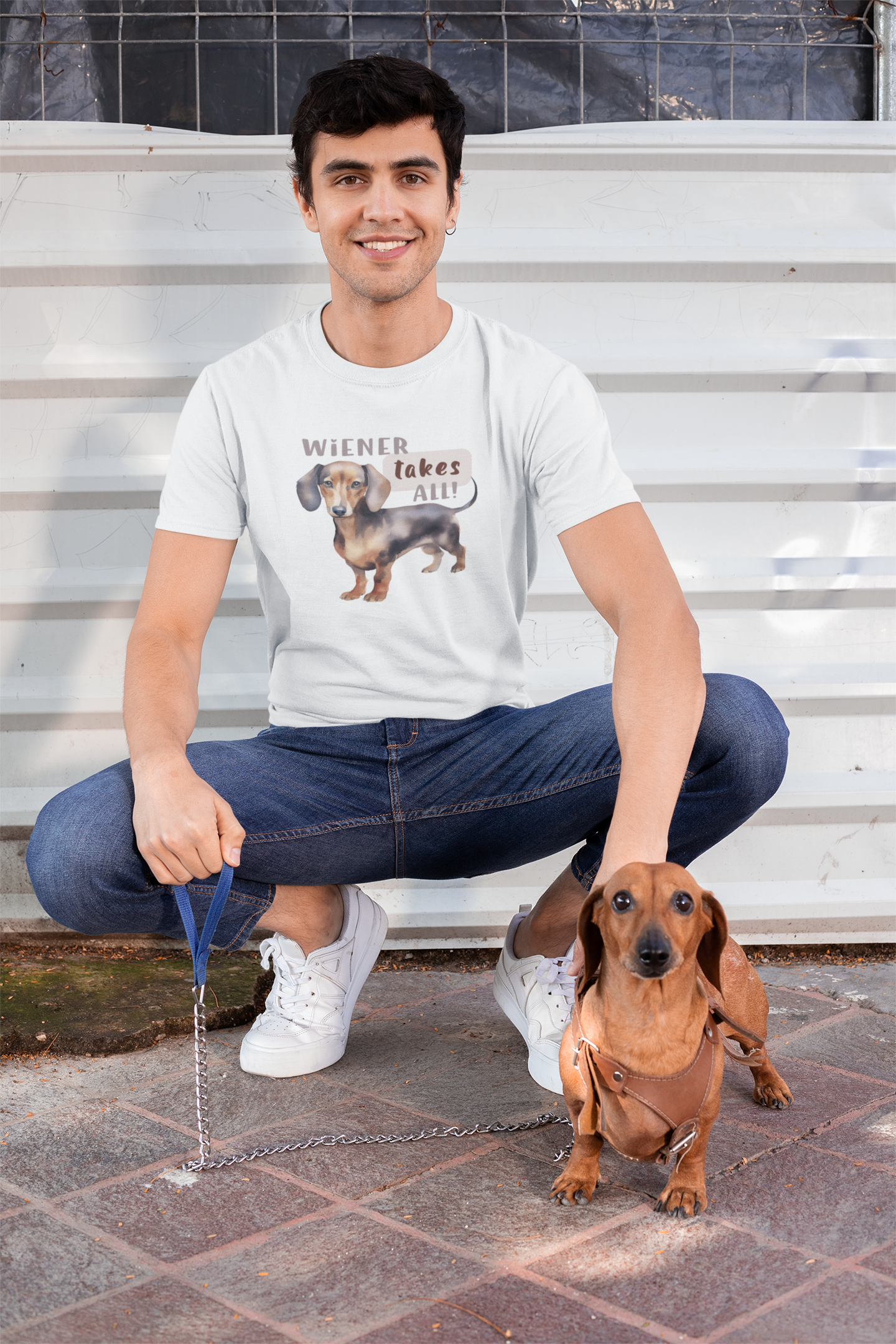 Wiener takes all - Brown Dachshund
