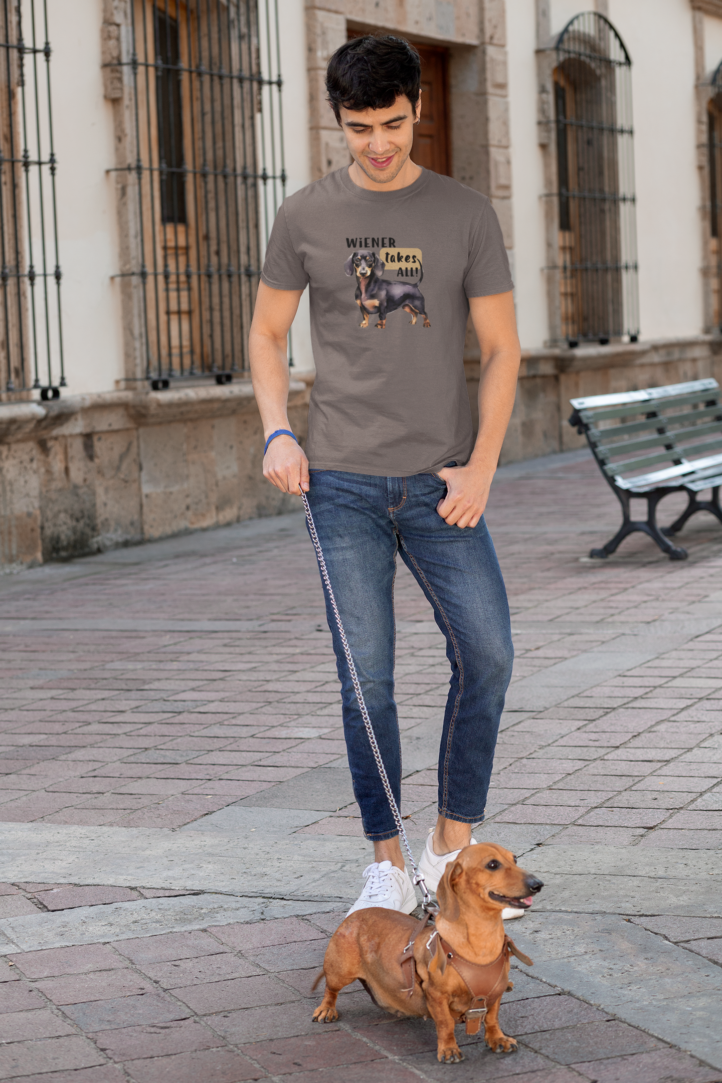 Wiener takes all - Brown Dachshund