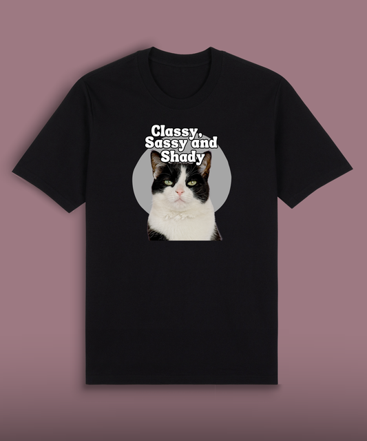 Classy, Sassy and Shady - Tuxedo cat