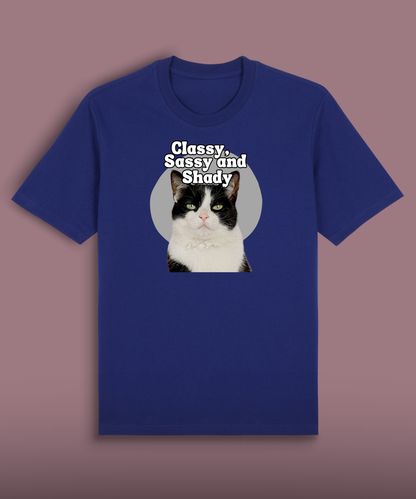 Classy, Sassy and Shady - Tuxedo cat