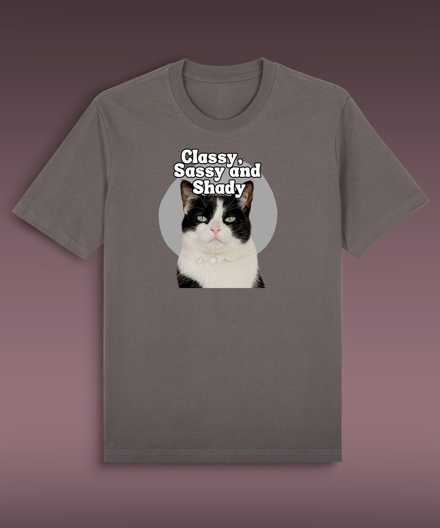 Classy, Sassy and Shady - Tuxedo cat