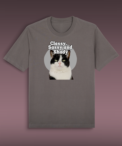 Classy, Sassy and Shady - Tuxedo cat