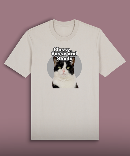 Classy, Sassy and Shady - Tuxedo cat