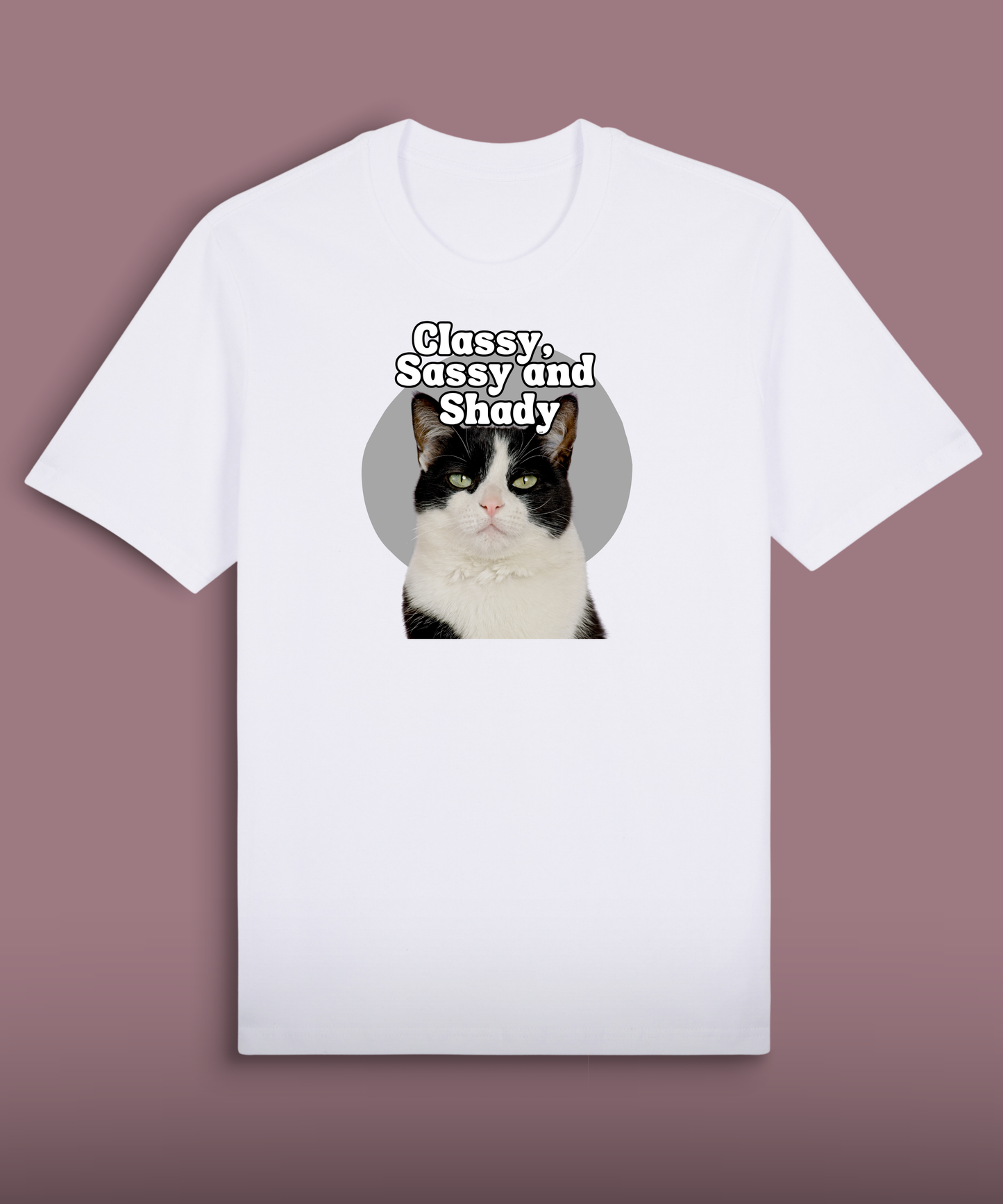 Classy, Sassy and Shady - Tuxedo cat