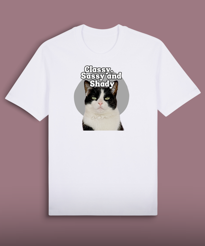 Classy, Sassy and Shady - Tuxedo cat