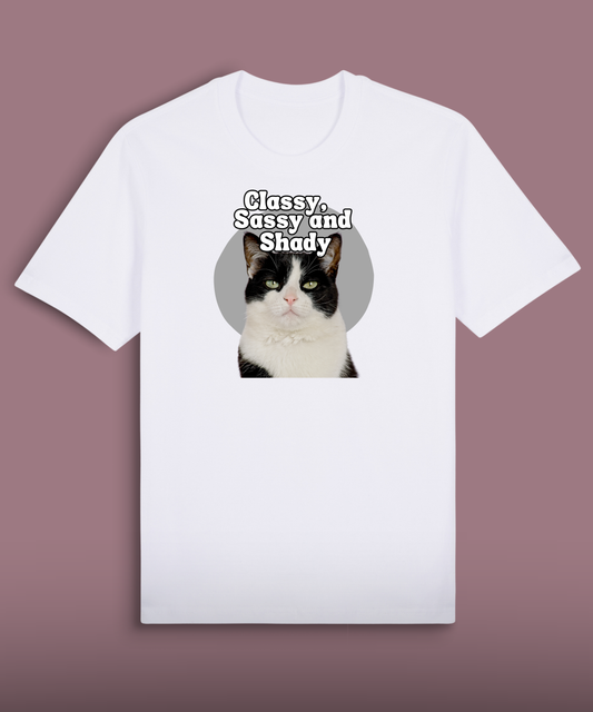 Classy, Sassy and Shady - Tuxedo cat