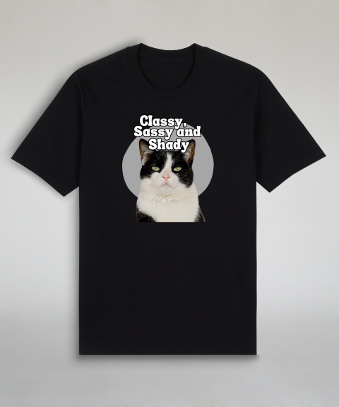 Classy, Sassy and Shady - Tuxedo cat