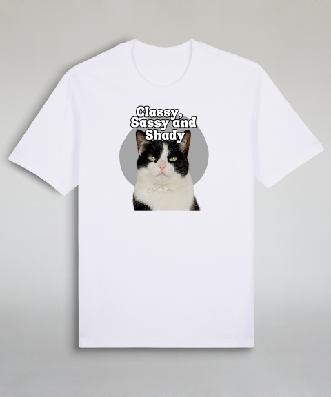 Classy, Sassy and Shady - Tuxedo cat