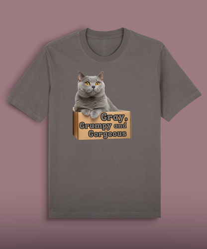 Gray, Grumpy and Gorgeous - British Shorthair
