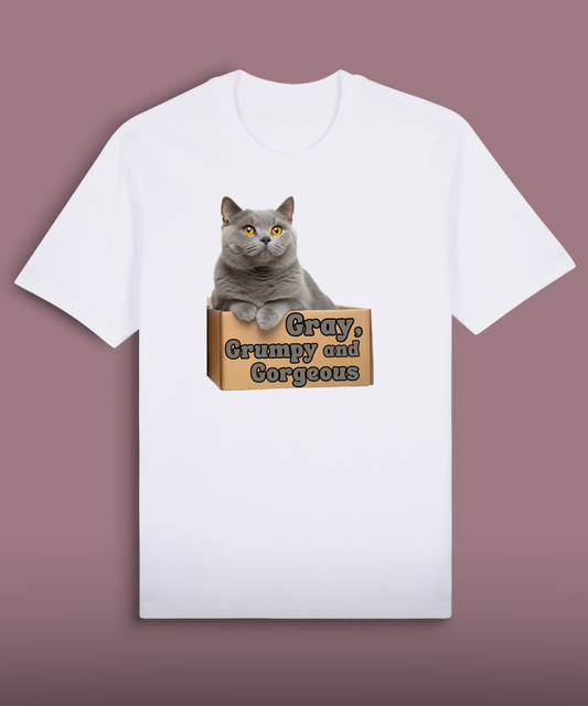 Gray, Grumpy and Gorgeous - British Shorthair